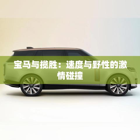 寶馬與攬勝：速度與野性的激情碰撞