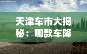天津車市大揭秘：哪款車降價最猛？