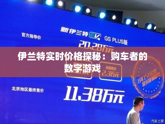 伊蘭特實(shí)時(shí)價(jià)格探秘：購(gòu)車者的數(shù)字游戲
