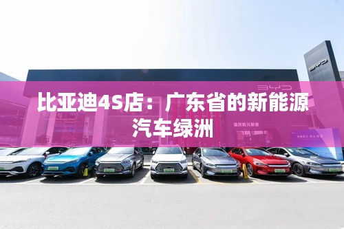 比亞迪4S店：廣東省的新能源汽車綠洲