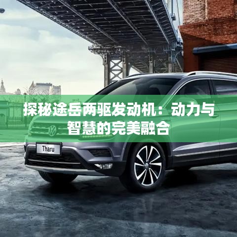 探秘途岳兩驅(qū)發(fā)動(dòng)機(jī)：動(dòng)力與智慧的完美融合