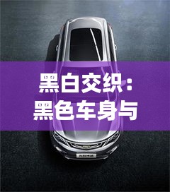 黑白交織：黑色車身與白色線條的靈動美學