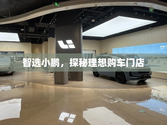 智選小鵬，探秘理想購車門店