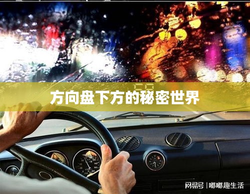方向盤下方的秘密世界