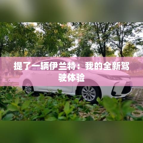 提了一輛伊蘭特：我的全新駕駛體驗