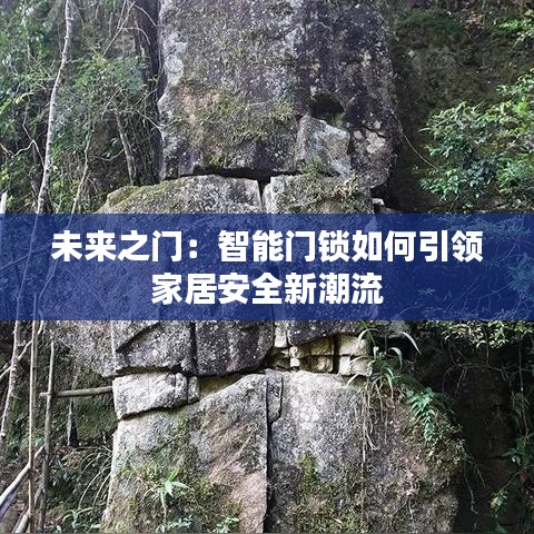 未來之門：智能門鎖如何引領家居安全新潮流