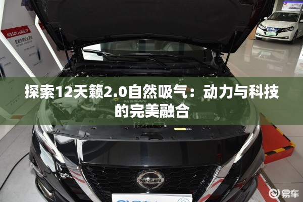 探索12天籟2.0自然吸氣：動力與科技的完美融合