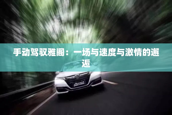 手動駕馭雅閣：一場與速度與激情的邂逅