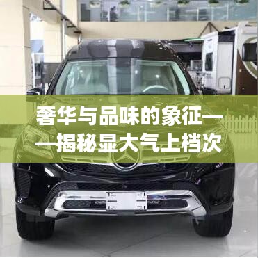 奢華與品味的象征——揭秘顯大氣上檔次的車
