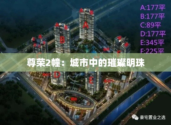 尊榮2幢：城市中的璀璨明珠