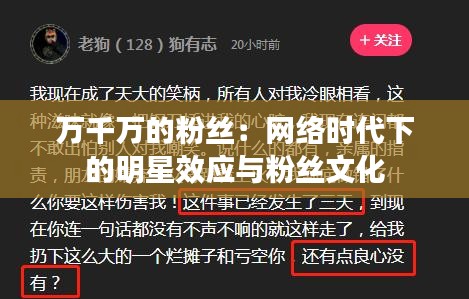 萬(wàn)千萬(wàn)的粉絲：網(wǎng)絡(luò)時(shí)代下的明星效應(yīng)與粉絲文化