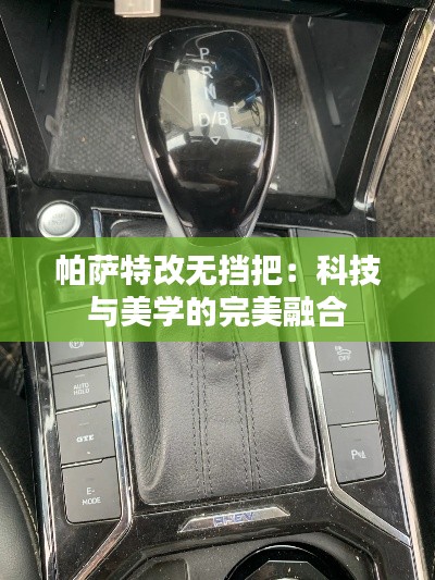 帕薩特改無擋把：科技與美學(xué)的完美融合