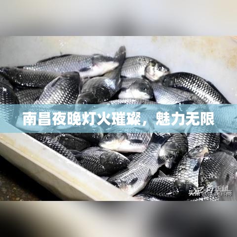 南昌夜晚燈火璀璨，魅力無限