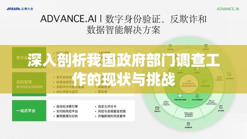 深入剖析我國政府部門調(diào)查工作的現(xiàn)狀與挑戰(zhàn)