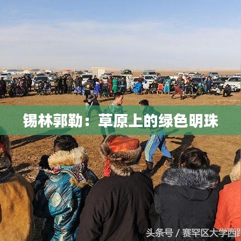 錫林郭勒:草原上的綠色明珠