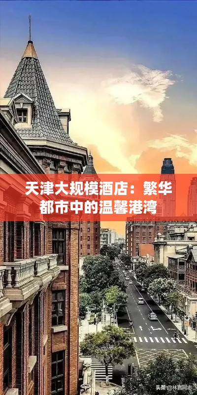 天津大規(guī)模酒店:繁華都市中的溫馨港灣
