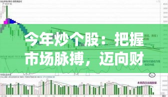 今年炒個(gè)股：把握市場(chǎng)脈搏，邁向財(cái)富增長之路
