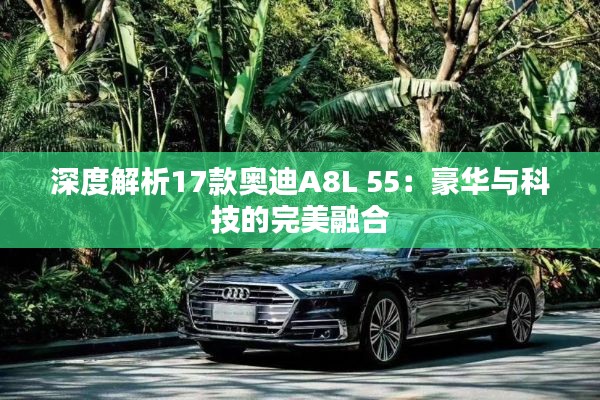 深度解析17款奧迪A8L 55:豪華與科技的完美融合