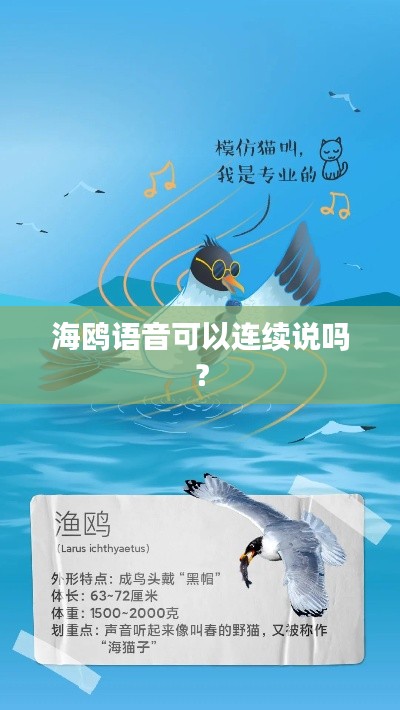 海鷗語音可以連續(xù)說嗎？