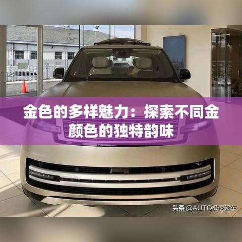 金色的多樣魅力：探索不同金顏色的獨特韻味