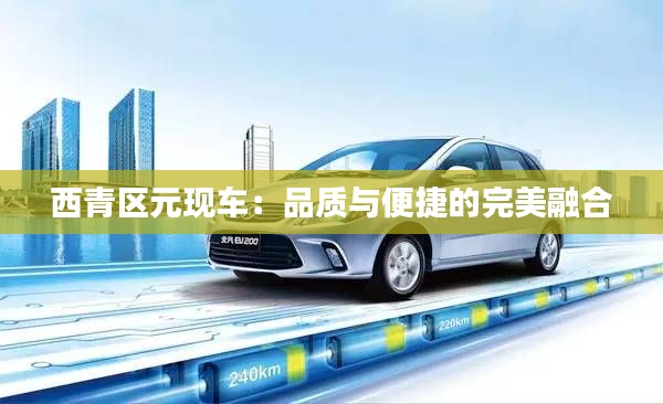 西青區(qū)元現(xiàn)車：品質(zhì)與便捷的完美融合