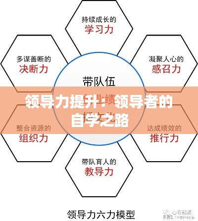 領(lǐng)導(dǎo)力提升：領(lǐng)導(dǎo)者的自學(xué)之路