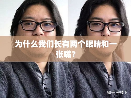為什么我們長有兩個(gè)眼睛和一張嘴？