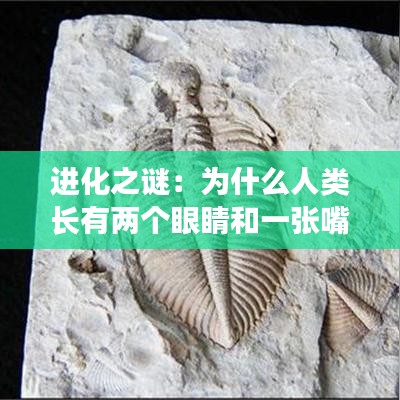進化之謎：為什么人類長有兩個眼睛和一張嘴？