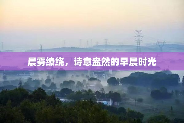 晨霧繚繞，詩(shī)意盎然的早晨時(shí)光