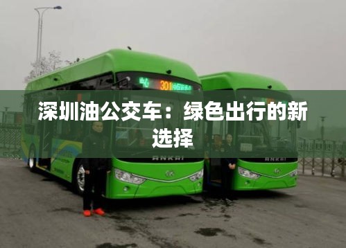深圳油公交車：綠色出行的新選擇