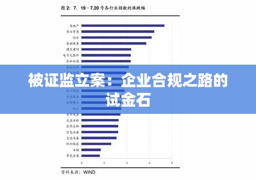 被證監(jiān)立案：企業(yè)合規(guī)之路的試金石