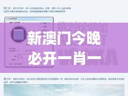 新澳門今晚必開一肖一特,可靠性方案設(shè)計(jì)_Kindle6.898