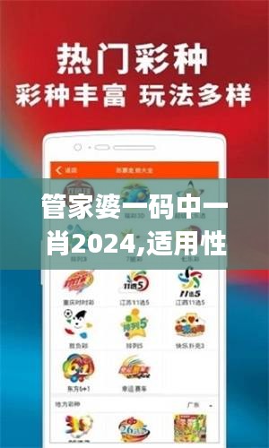 管家婆一碼中一肖2024,適用性方案解析_6DM4.744