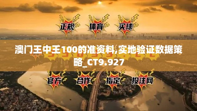 澳門王中王100的準資料,實地驗證數(shù)據(jù)策略_CT9.927