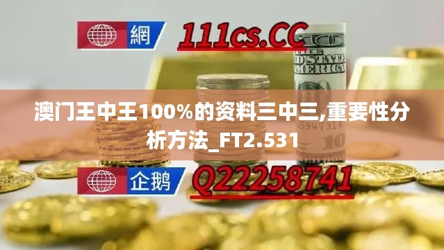 澳門王中王100%的資料三中三,重要性分析方法_FT2.531