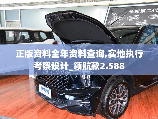 正版資料全年資料查詢,實(shí)地執(zhí)行考察設(shè)計(jì)_領(lǐng)航款2.588