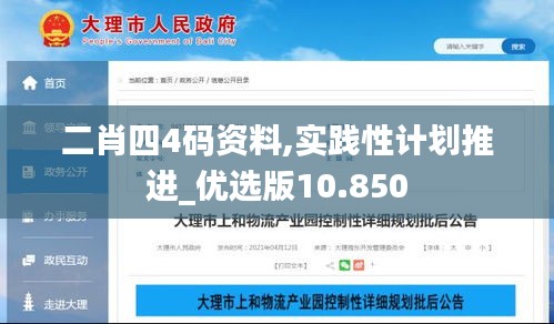 二肖四4碼資料,實(shí)踐性計(jì)劃推進(jìn)_優(yōu)選版10.850