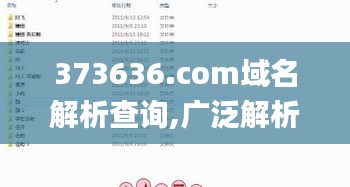 373636.com域名解析查詢,廣泛解析方法評估_FHD3.589