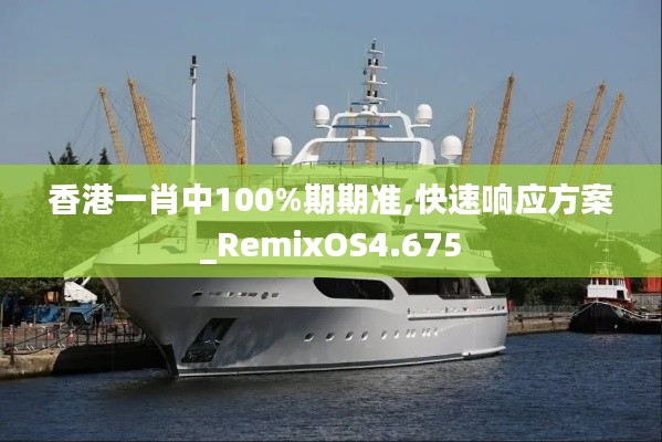 香港一肖中100%期期準(zhǔn),快速響應(yīng)方案_RemixOS4.675