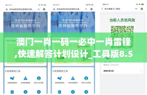 澳門一肖一碼一必中一肖雷鋒,快速解答計(jì)劃設(shè)計(jì)_工具版8.563