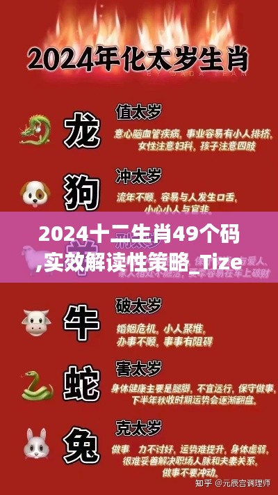 2024十二生肖49個(gè)碼,實(shí)效解讀性策略_Tizen3.671