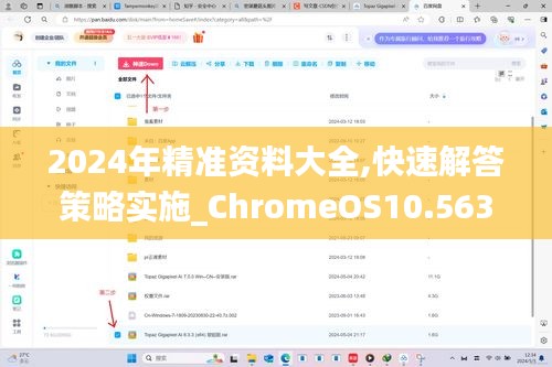 2024年精準(zhǔn)資料大全,快速解答策略實(shí)施_ChromeOS10.563