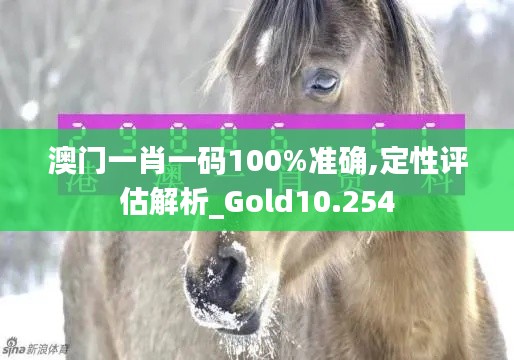 澳門(mén)一肖一碼100%準(zhǔn)確,定性評(píng)估解析_Gold10.254
