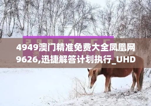 4949澳門精準(zhǔn)免費(fèi)大全鳳凰網(wǎng)9626,迅捷解答計(jì)劃執(zhí)行_UHD版2.191