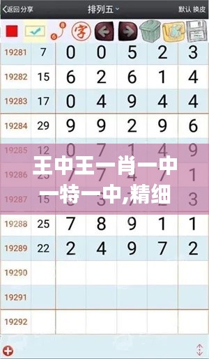 王中王一肖一中一特一中,精細(xì)解析說明_SE版1.931