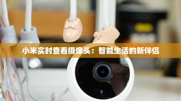 小米實時查看攝像頭:智能生活的新伴侶