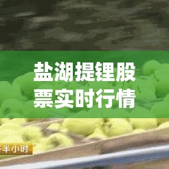 鹽湖提鋰股票實時行情：揭秘市場動態(tài)與投資機遇