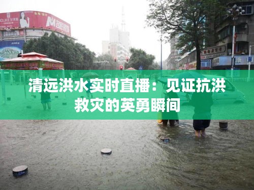 清遠洪水實時直播:見證抗洪救災(zāi)的英勇瞬間