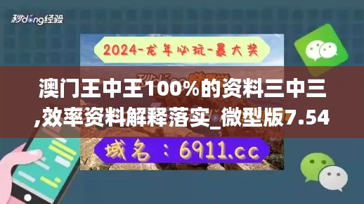 澳門王中王100%的資料三中三,效率資料解釋落實_微型版7.540