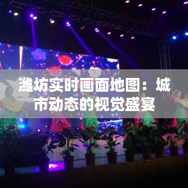 濰坊實時畫面地圖:城市動態(tài)的視覺盛宴